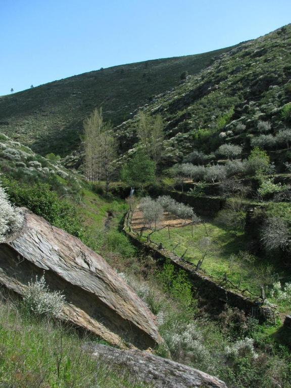 Freixo de Espada à Cinta Quinta Dos Baldo旅馆 外观 照片